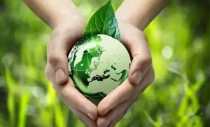 电子竞技官网·（中国）官方网站零碳（近零碳）发展战略和实施方案